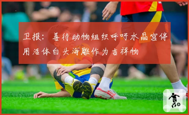 卫报:善待动物组织呼吁水晶宫停用活体白头海雕作为吉祥物